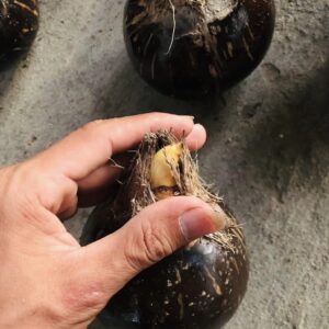 đánh bóng sơn PU cho gáo dừa