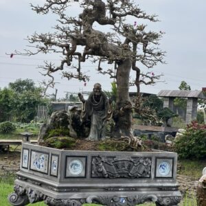 mẫu 16