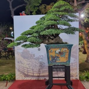 mẫu 5