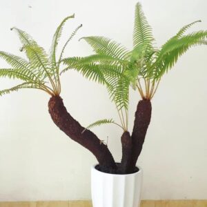 trồng cây trong chậu