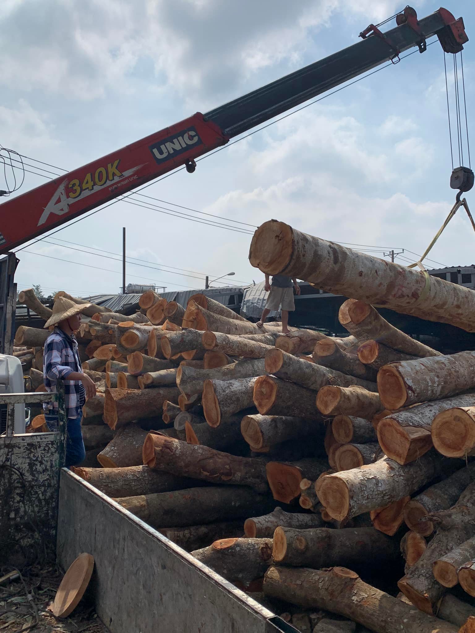 vận chuyển gỗ xà cừ