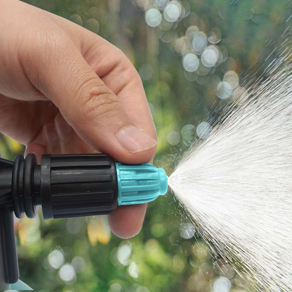 cung cấp nước thường xuyên cho cây thủy tùng phát triển